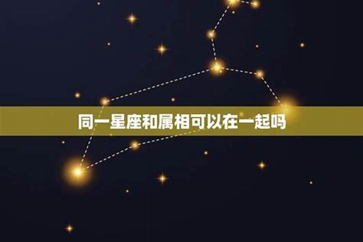 星座属相不合适两个人会在一起吗