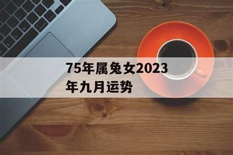 75年女属兔人在2023年的婚姻