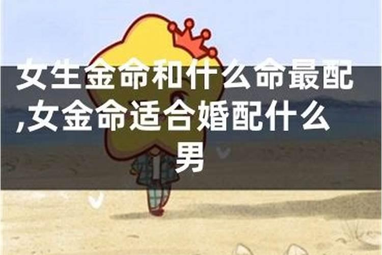 金命男与金命女婚配好吗