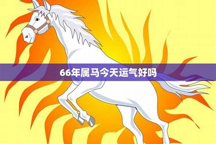 66年属马人今年的运气和财运