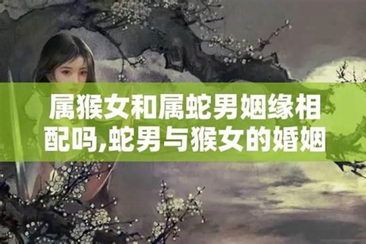 蛇女猴男相配的婚姻好吗