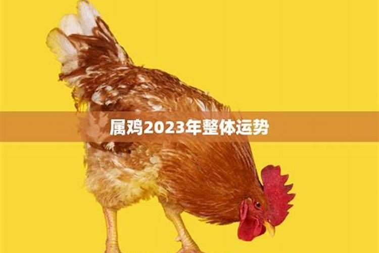 2023年属鸡的运势