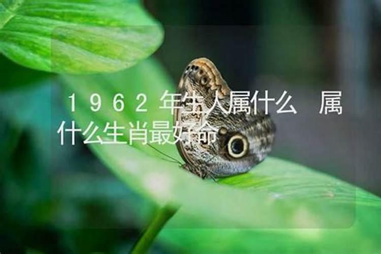 农历1960年属什么生肖