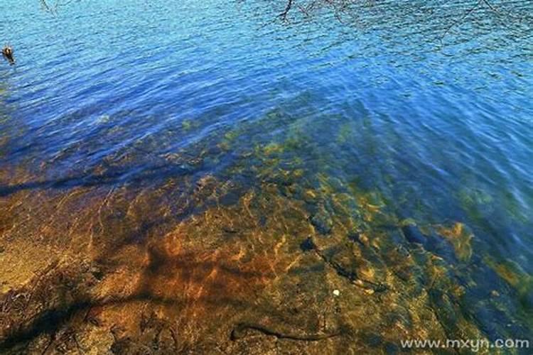 女人梦到湖水上涨