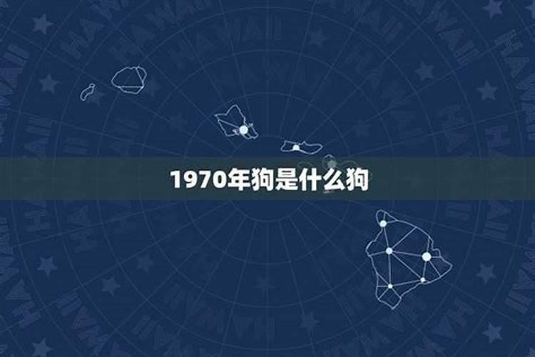 1970年狗年是什么狗