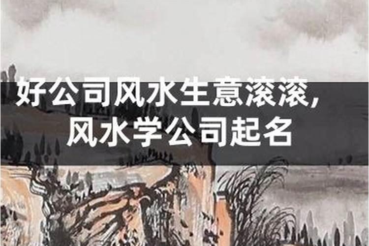 风水起名公司的名称费用