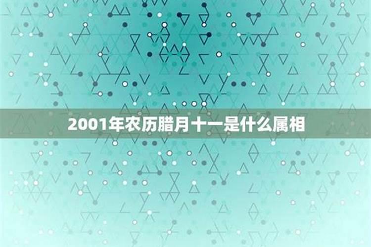 2023犯太岁躲星可以开灯吗