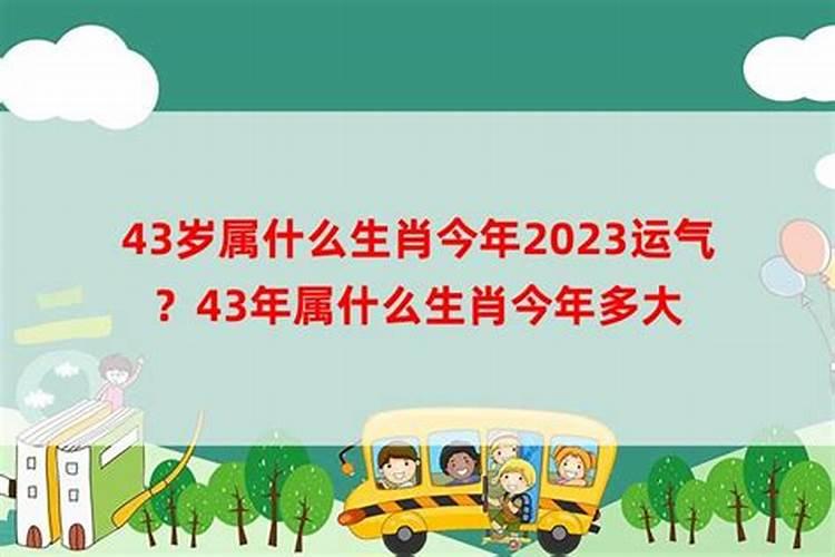 72岁属什么生肖今年多大了