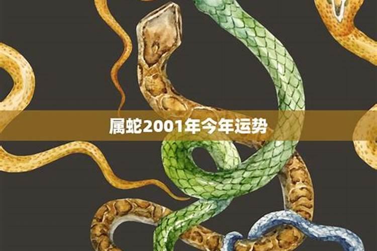 2001属蛇人2023年全年运势详解