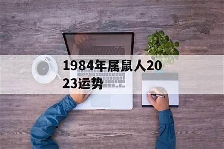 1984生肖2023年运势如何