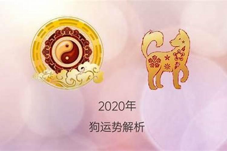 属狗2020年后半年运程