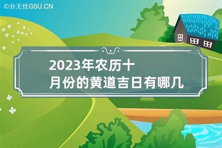 属龙2023年10月份