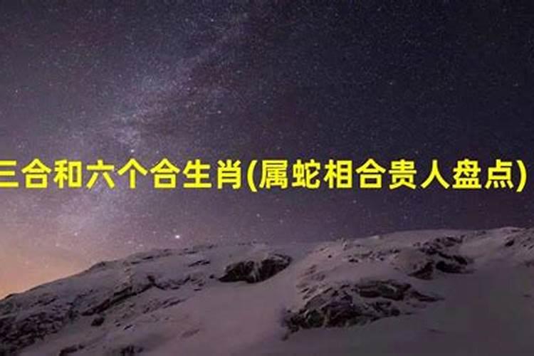 属蛇人的克星是哪个属相