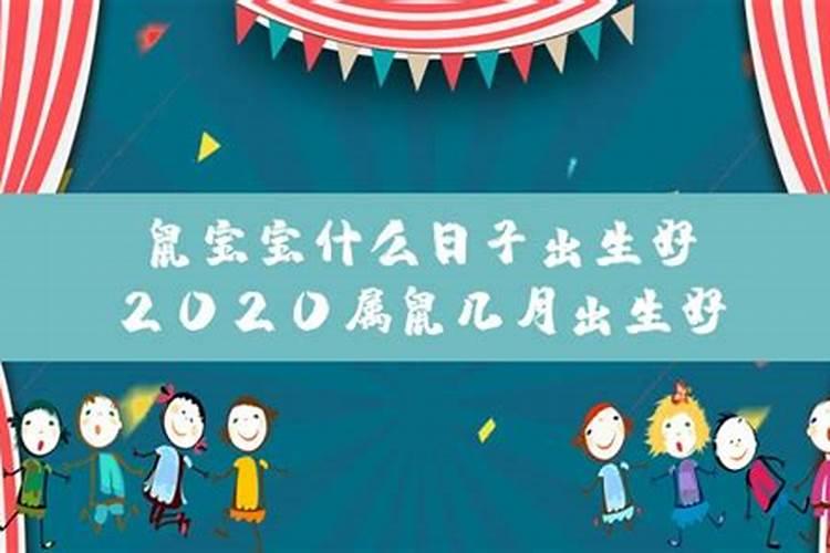 2020属鼠农历九月出生好不好