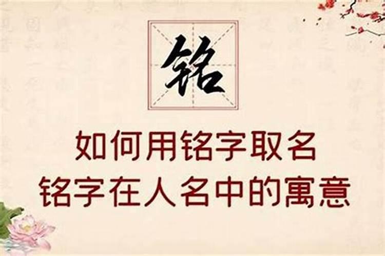 五行属木的字