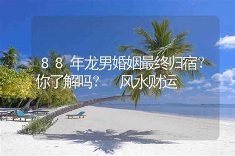 88年男属龙的今年婚姻怎么样