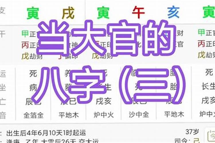 当大官的八字特点