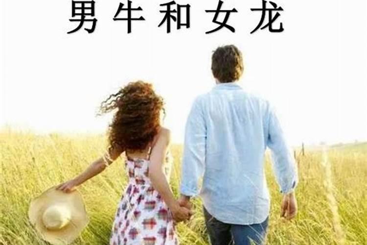 男牛女龙的属相合不合婚姻