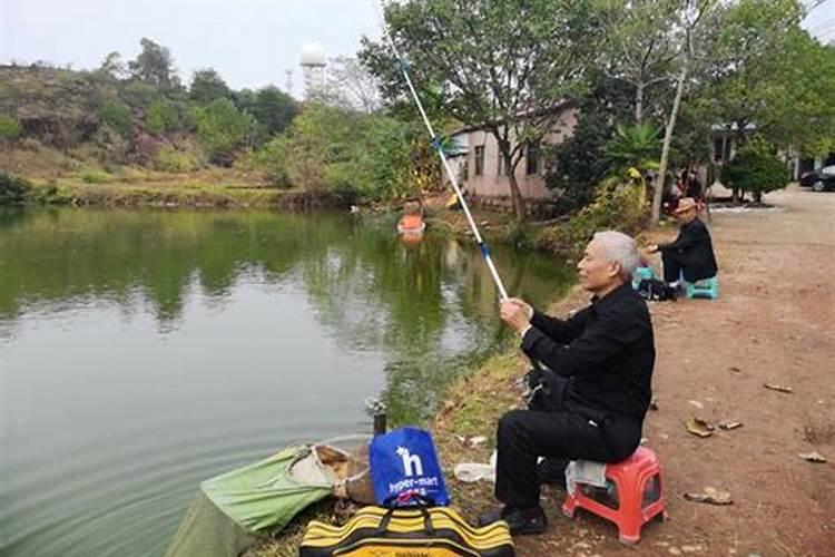 重阳节钓鱼钓哪些鱼最好