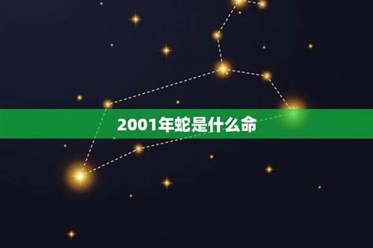 2001年属蛇的是什么命格