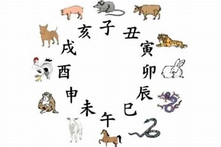 12生肖儿童背诵口诀是什么？