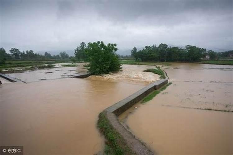 梦见涨大水把田地淹没