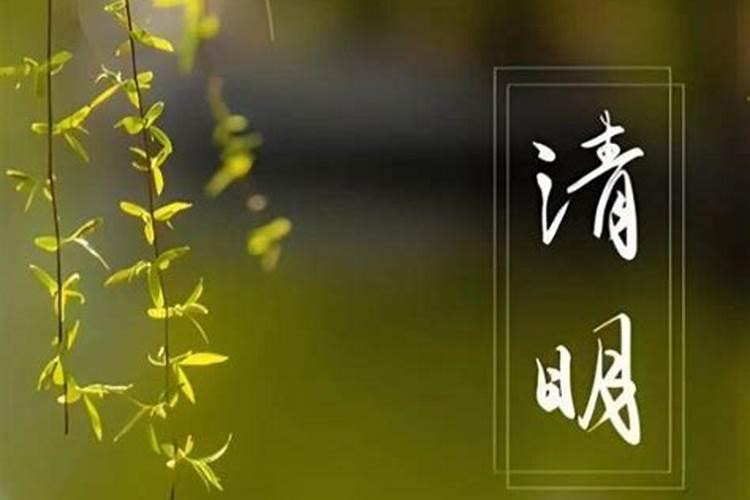 4月4号清明节出生命硬