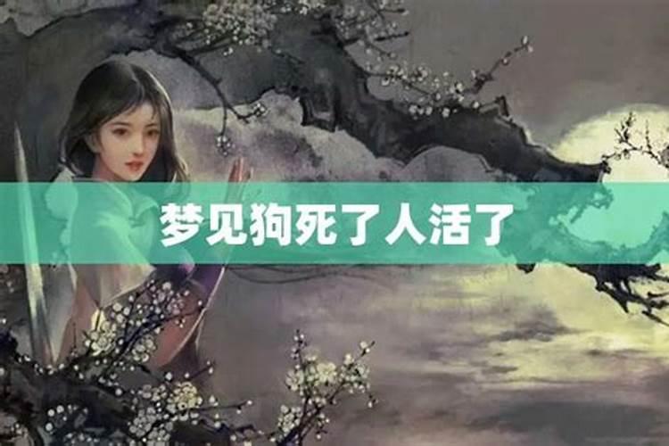 男狗与女马属相婚配怎样