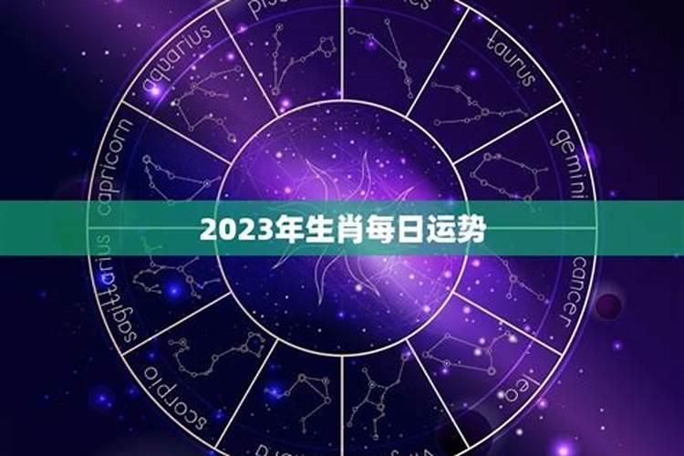 星座运势2023年运势大全每月