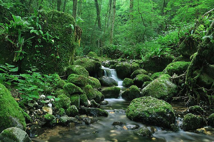 破太岁犯太岁害太岁什么意思