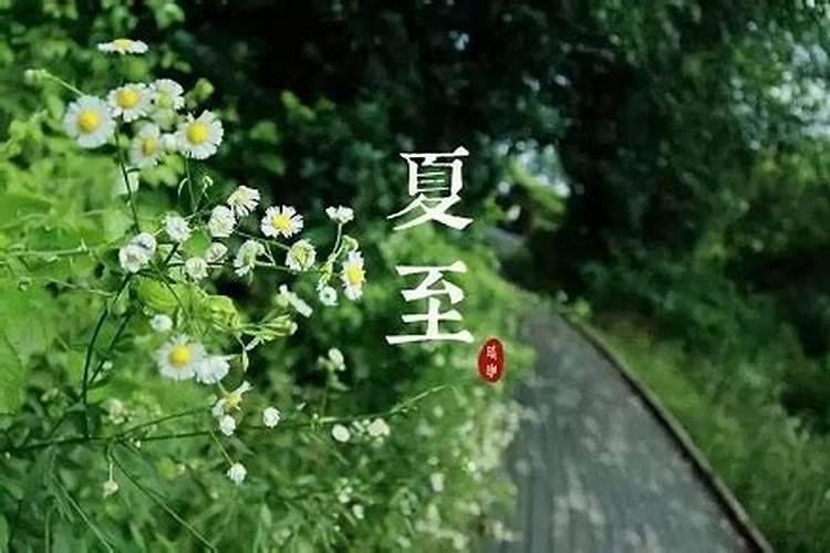 重阳节的时间是几月几号