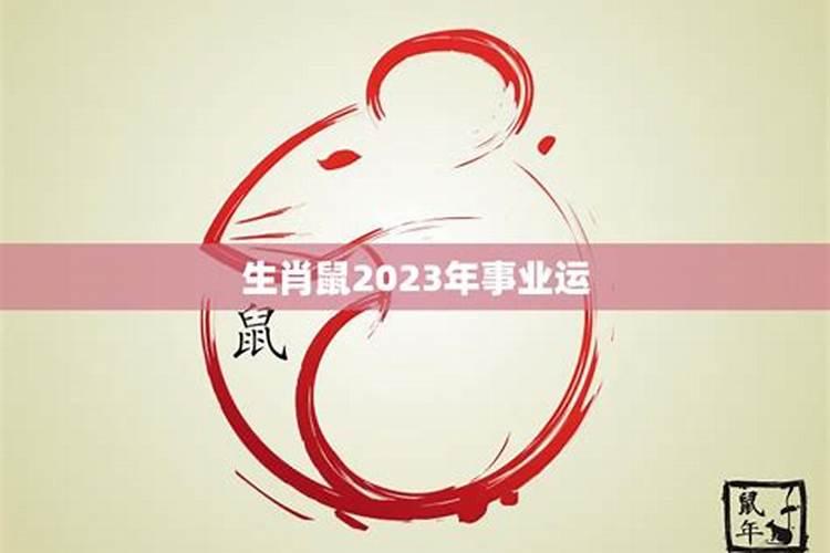 2023年属鼠人的事业运程