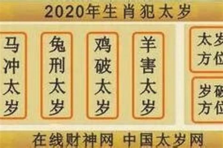 2023年运势的财运属龙