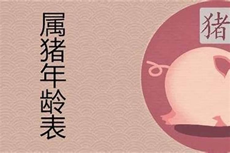 属猪的今年是多少岁生日