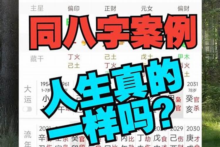 八字相同婚姻也一样吗