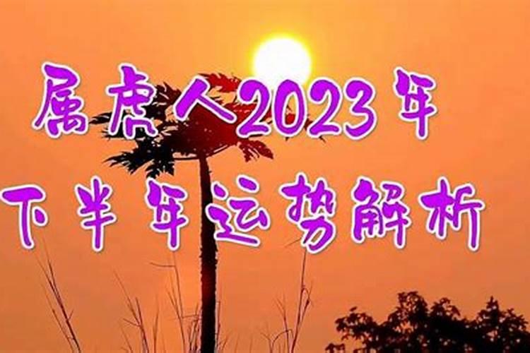 属虎人2023年下半年运势女孩