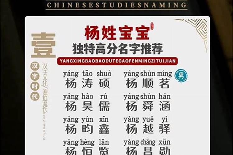 姓杨的男宝宝名字大全四个字