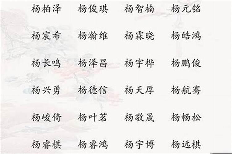 姓杨的男宝宝名字大全四个字