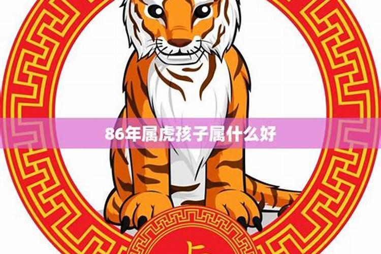 母亲属狗父亲属虎孩子属什么好