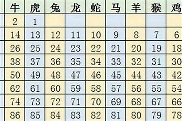 十二生肖2023年12月运势如何看