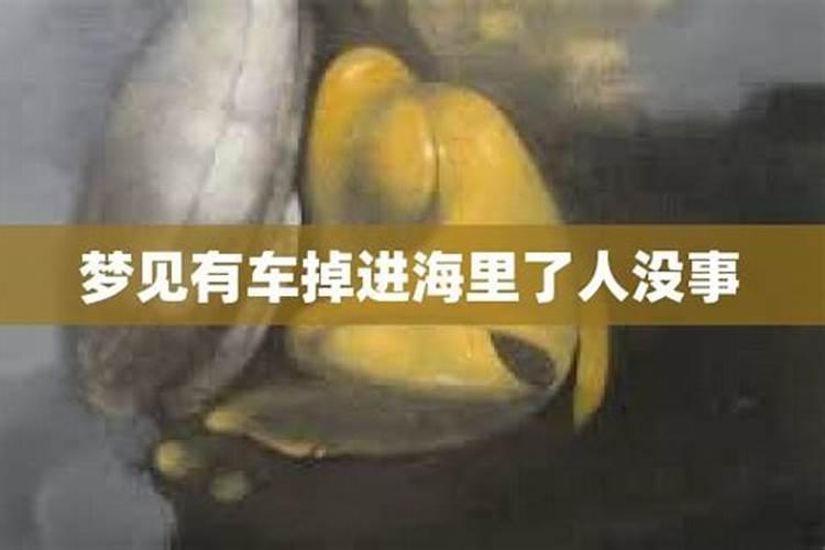 梦见人掉进大海里游泳