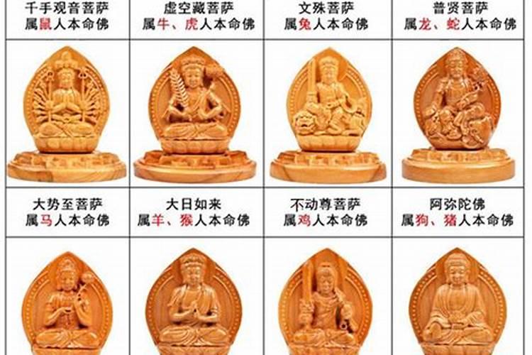 12生肖的守护神梵文