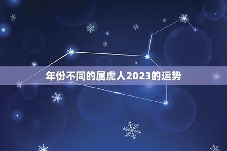 属虎双子座2023年运势