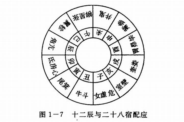 天干地支在四柱详解