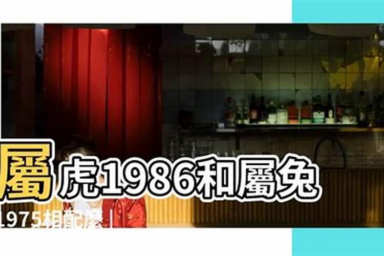 1987年属兔男和1986年属虎女的婚姻