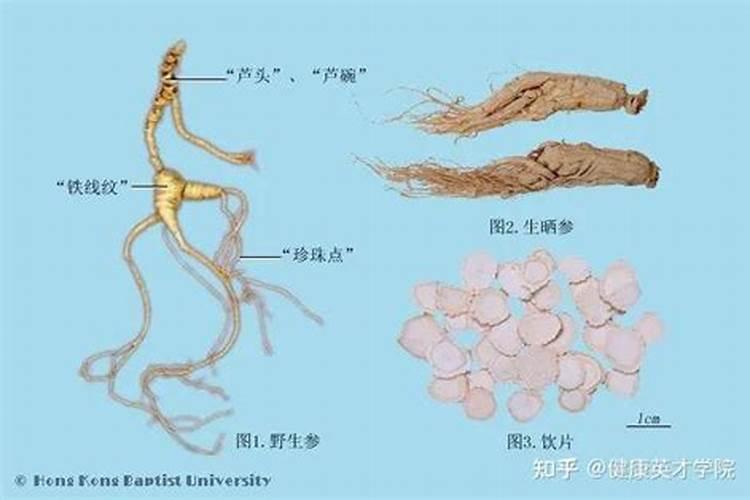 人参在腰上好不好