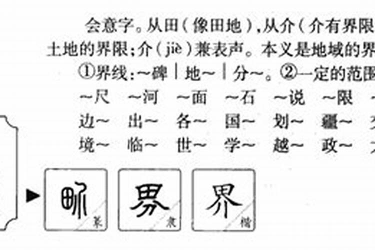 界字在十二生肖是什么