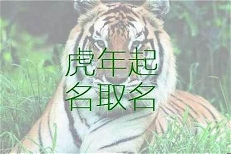 属虎的可以用什么字取名