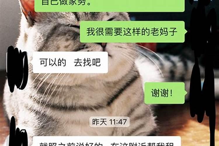 本命年和女朋友分手了