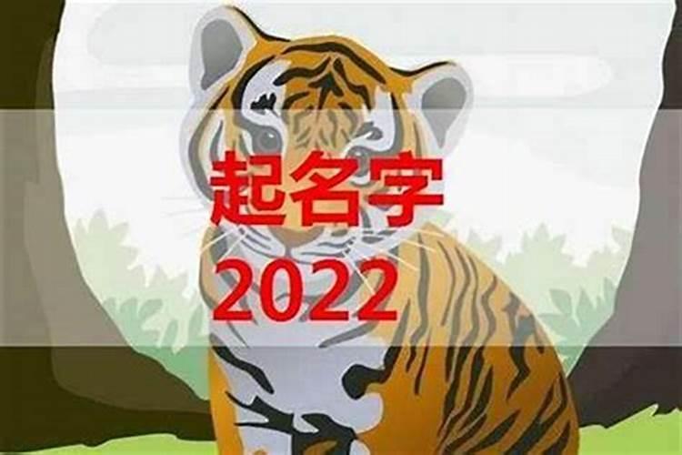 2023年男孩虎宝宝小名